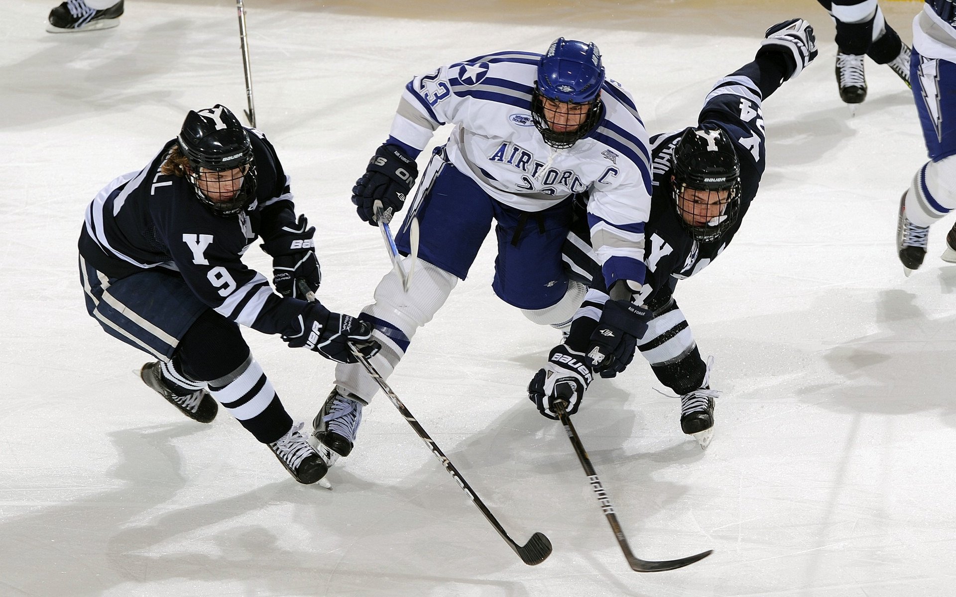 赛道上的逆袭，哈斯鏖战威廉姆斯，诺里斯领军夺胜